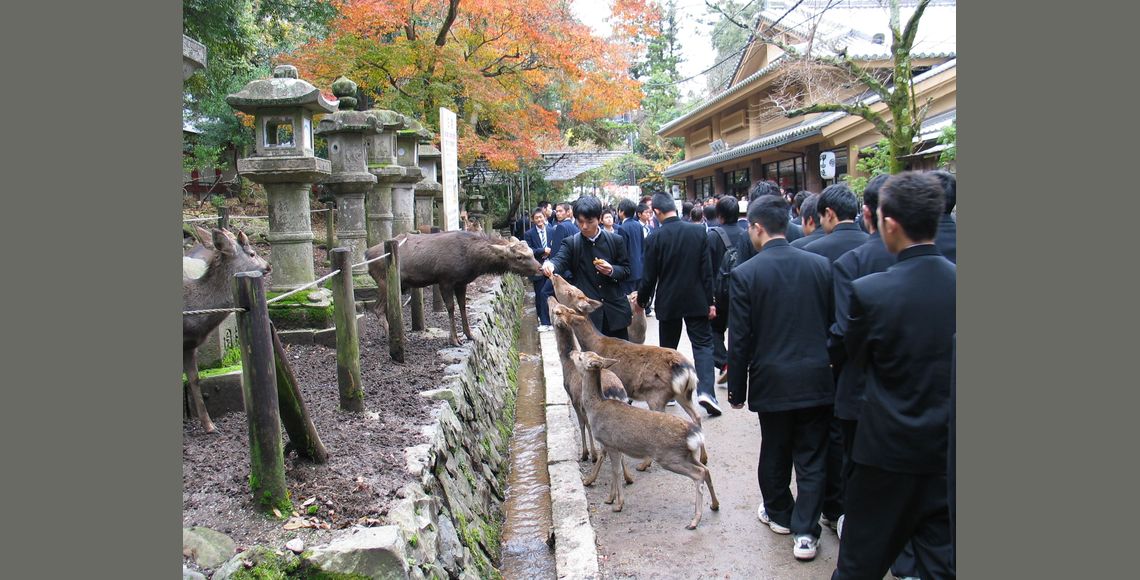 lorem ipsum dolor sit